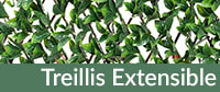 Treillis Extensible